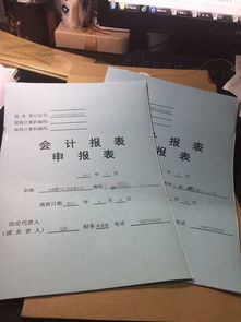 專業為客戶提供代理記帳服務